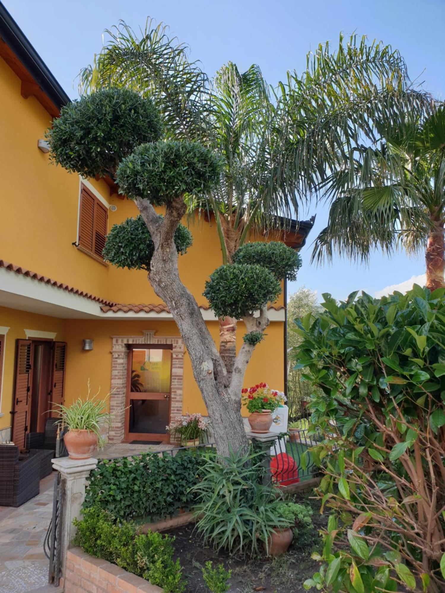 Mileto San Pietro Bed & Breakfast エクステリア 写真